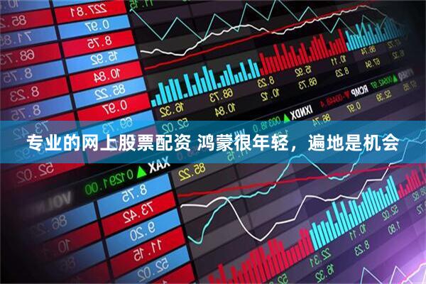 专业的网上股票配资 鸿蒙很年轻，遍地是机会