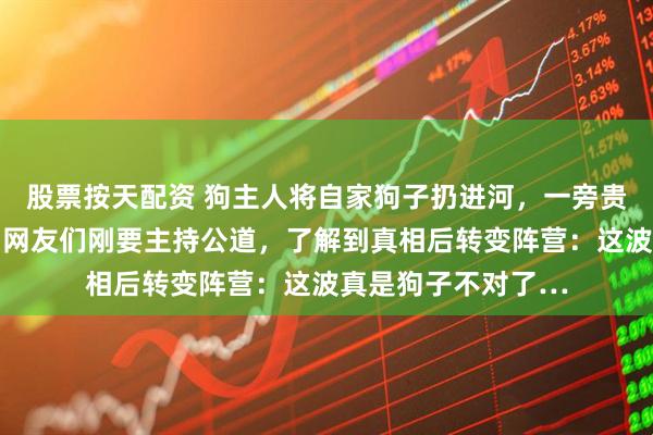 股票按天配资 狗主人将自家狗子扔进河，一旁贵宾看得瑟瑟发抖…网友们刚要主持公道，了解到真相后转变阵营：这波真是狗子不对了…